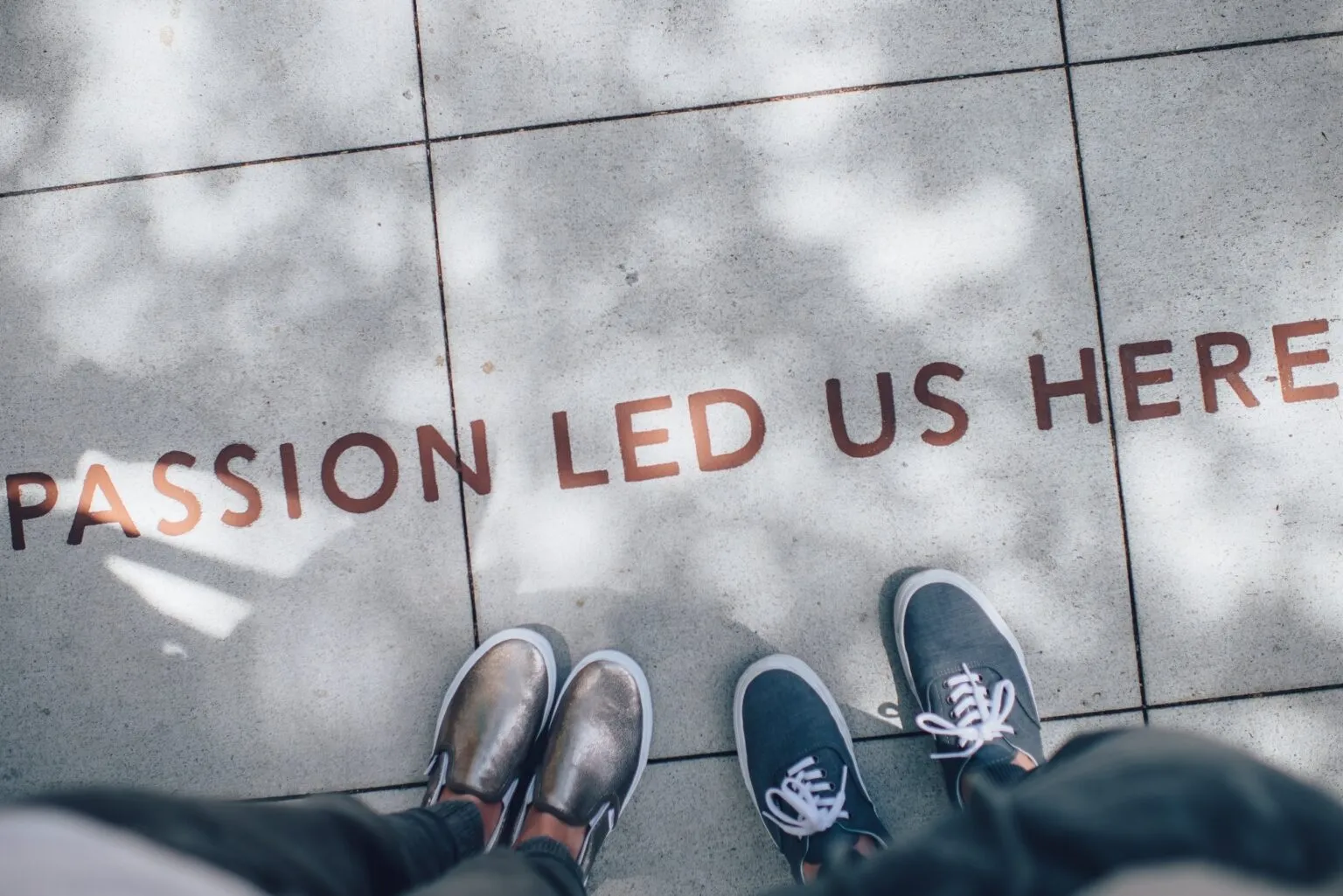 My First Week at Butterfly Innovations (CollPoll)